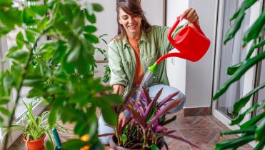 Plantas-principiantes.jpg Lady watering her houseplants